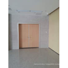 High Luxury Interior Wood Door, High Production Main Double Leaf Door